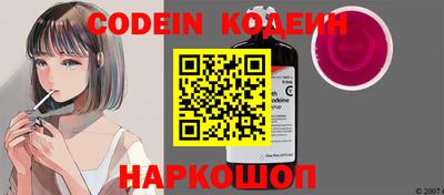 apvp Кингисепп
