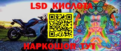apvp Кингисепп