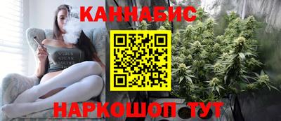 apvp Кингисепп
