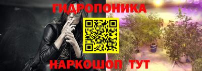 apvp Кингисепп