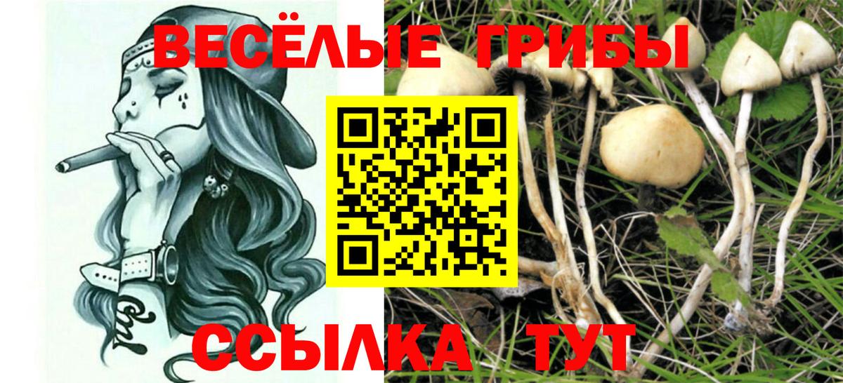 Псилоцибиновые грибы мицелий  Вход с VPN  Кубинка  Псилоцибиновые грибы мицелий 