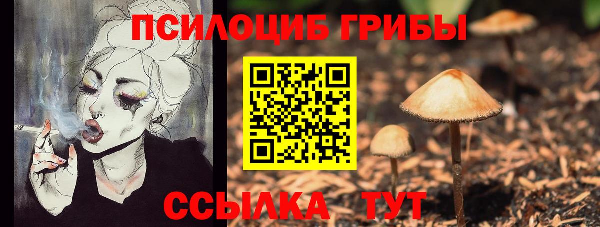 Псилоцибиновые грибы Psilocybine cubensis Кубинка