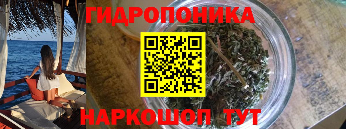 Бошки Шишки AK-47  Бошки марихуана тримм  Вход с VPN  Марихуана конопля  Марихуана план  Кубинка 